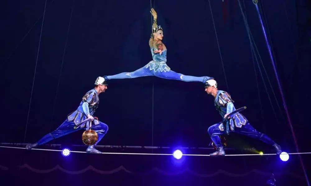 Moscow State Circus, 6 September–29 October, Multiple Locations (Up to 50% Off) - Image 4