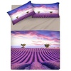 Image 11: Completo lenzuola Sogni d'Oro in 100% cotone