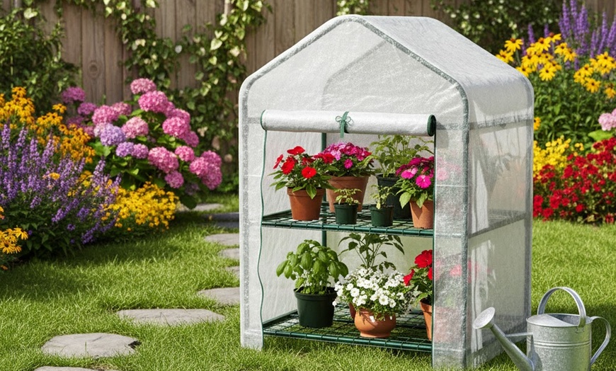 Image 32: Serre da giardino