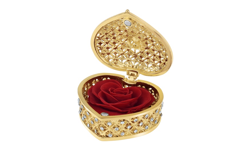 Image 12: Rosa eterna