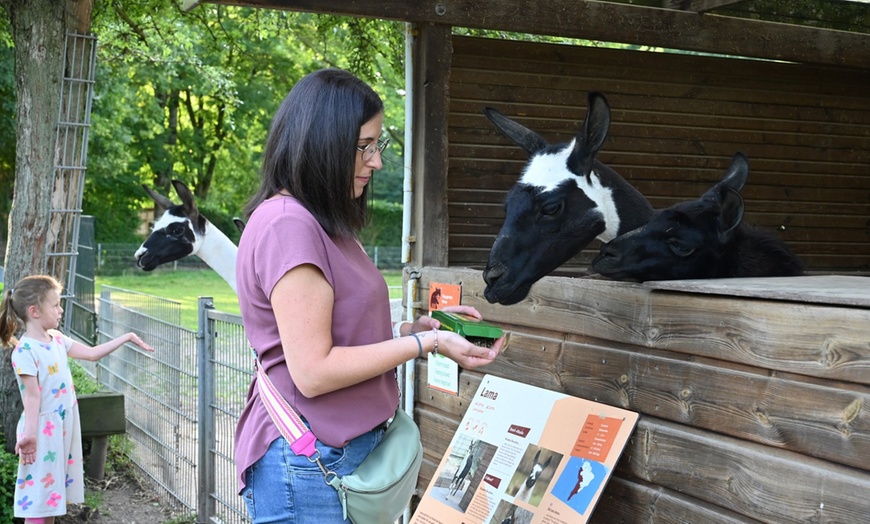 Image 10: Tiergarten Kleve – Ticket für 2 Erwachsene / 1 Kind, gültig bis 09.10.