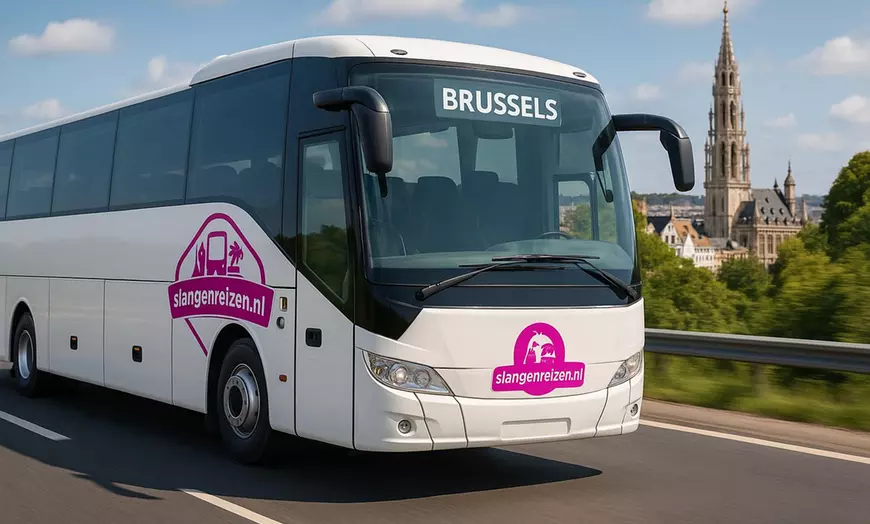 Image 1: Brussel: dagtrip incl. vervoer per luxe touringcar