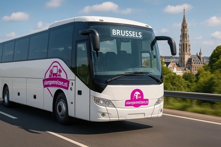 1-daagse busreis voor 1 persoon naar Brussel - Een Dagje Brussels