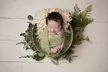 Capture Sweet Moments: Newborn Studio Photo shoot with Prints at Together in time Photography ( Up to 97% Off ) - Image 7