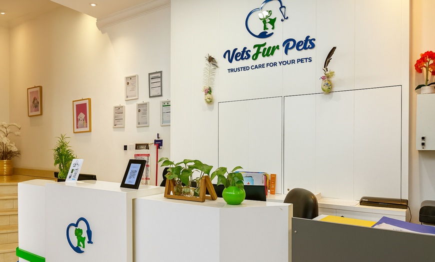 Image 1: (0 - 10 kg) Cat/Dog, Medium (10.1 - 20 kg) or Large Dog Full Grooming