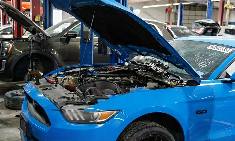 Domestic or European Vehicle Oil Change with/without Brake Inspection