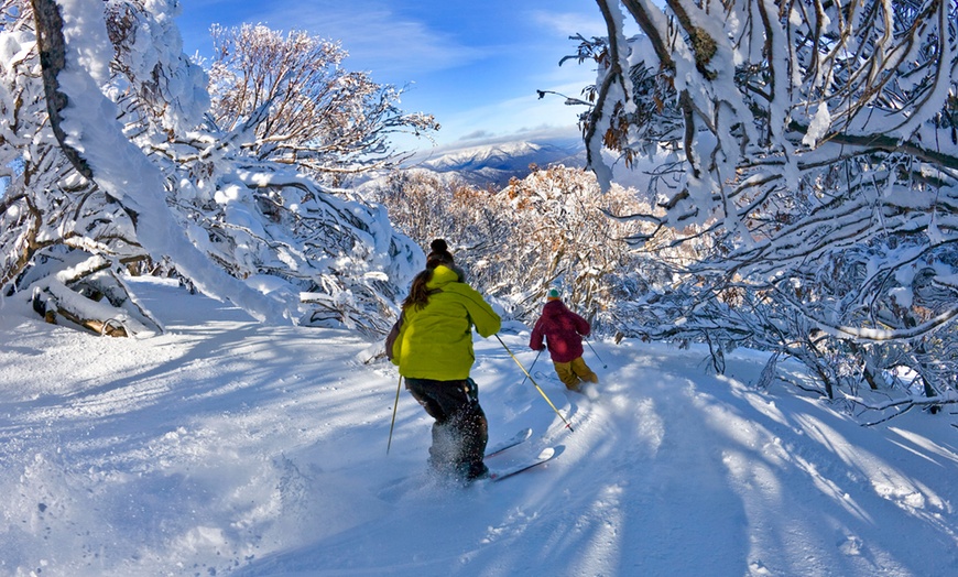 Image 3: One-Day Mt Buller Snow Tour for One – Adult (7+) or Child (3–6)
