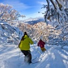 Image 3: One-Day Mt Buller Snow Tour for One – Adult (7+) or Child (3–6)