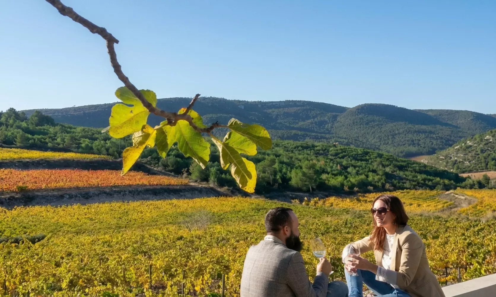 Cata de 3 vinos con maridaje de productos km 0 y visita a viñedo