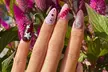 Claws and Co Nail Studio Offers a Spa Manicure or Pedicure with Regular/Gel Polish (Up to 40% Off) - Second Medium