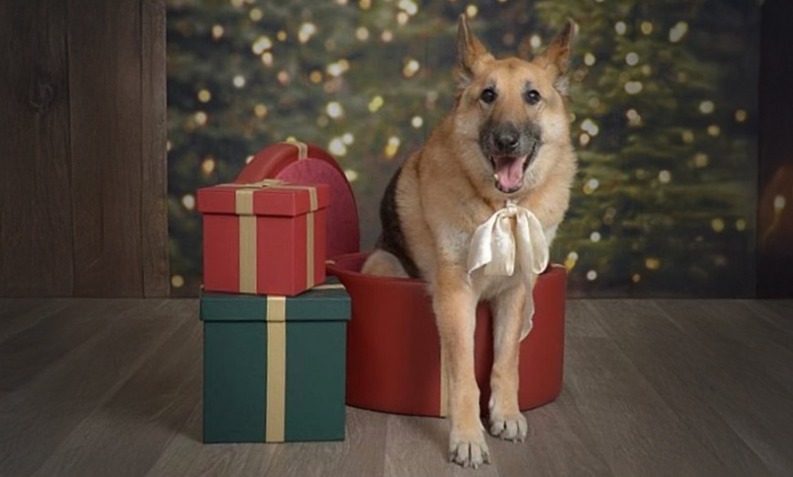 Image 7: JCPenney Portraits In-Studio Family & Pet Photography Sessions