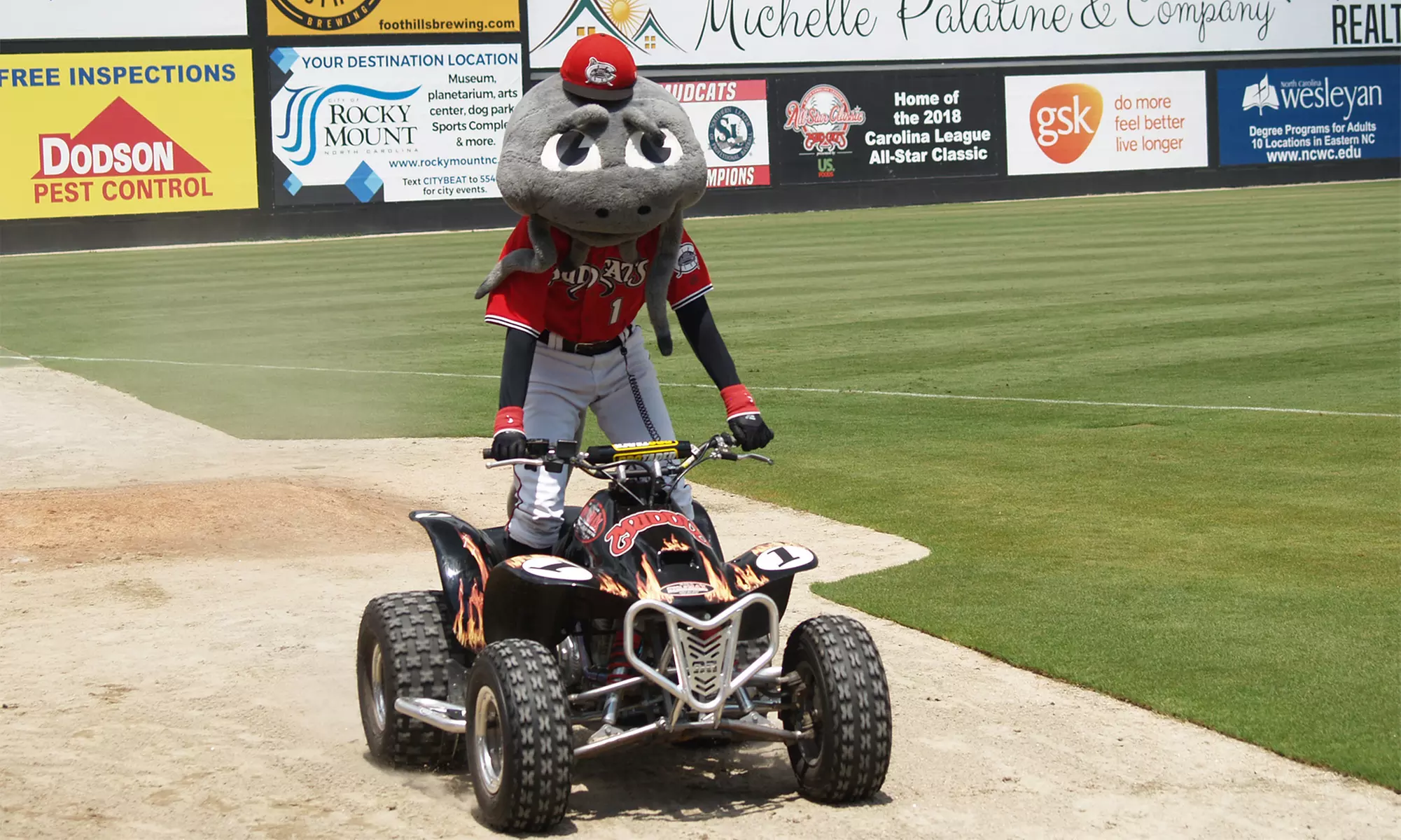 Carolina Mudcats Baseball Game (April 11–June 16) - Primary Image