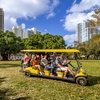 Image 17: Golf Cart Tours St. Petersburg – Explore The Sunshine City