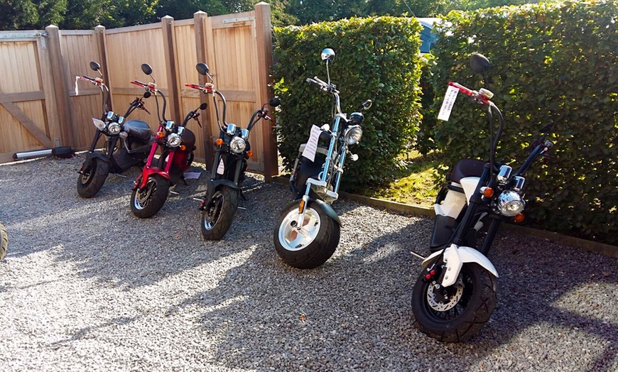 Image 2: Zonnige avonturen in Morkhoven met fatbike en smakelijke picknick