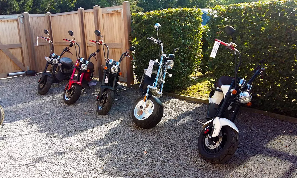 Zonnige avonturen in Morkhoven met fatbike en smakelijke picknick - Image 2