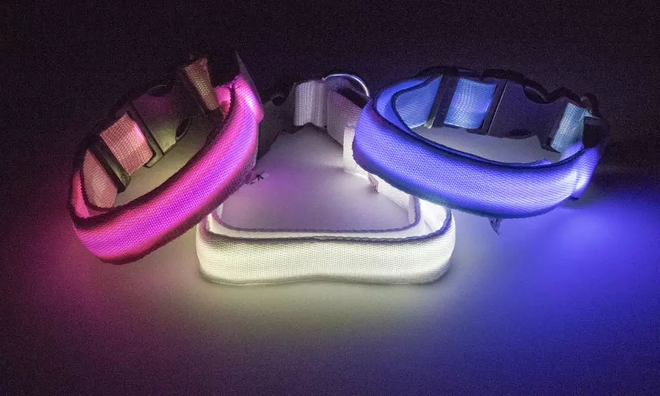 LED Safety Pet Collar - Primary Image