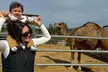 Enjoy Petting Zoo & Indulge in Artisan Chocolates with Admission to Sugarplum Zoo in Temecula (Up to 25% Off) - Second Medium