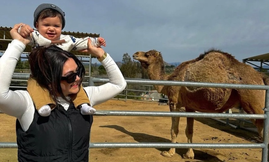 Image 6: Up to 25% Off Zoo Admission & Chocolates at Sugarplum Zoo