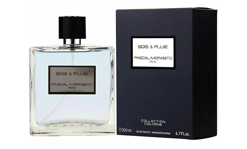 Image 19: Pascal Morabito herengeur