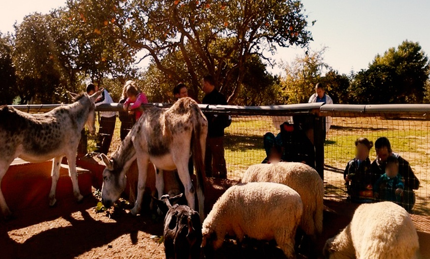 Image 1: Visita a granja escuela para hasta 8 personas con talleres y animales