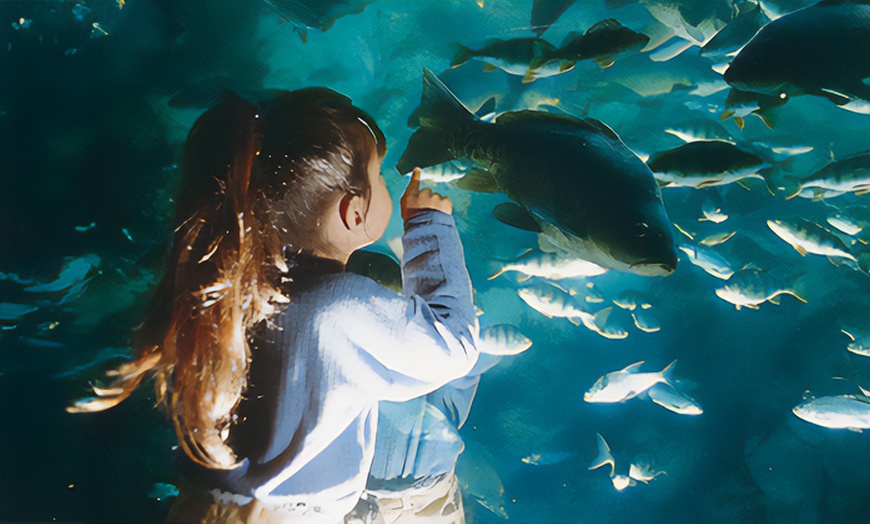 Image 2: Aquarium des Tropiques : voyage magique au cœur des mers exotiques