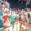 Image 2: 13% Off Dyker Heights Christmas Lights Bus Tour