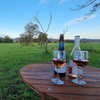 Image 5: Hunter Valley Escape: Room for Two + Wine & Late Check-Out