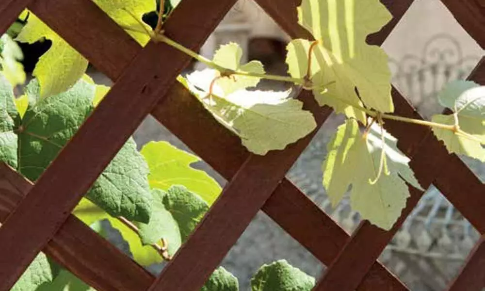 Grigliato in legno Pakse con pannello estensibile