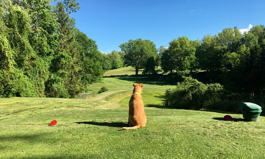 Image 1: Play 9 or 18 Holes With a Power Cart for Two Players 