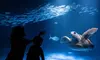 Hands-on experiences and new immersive exhibits! Visit from 4pm-8pm. (Up to 29% Off)