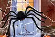 Giant Halloween Spider Web with 59" Giant Spider for Outdoor Halloween Decor - Second Medium