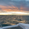 Image 2: Private 2-Hour Sunset Charter on Moreton Bay - Up to 30 Passengers