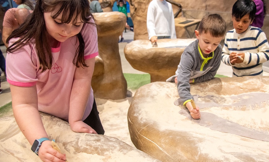 Image 6: Annual Family Membership at Maryland Science Center