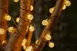 Up to 50-Pack Solar-Powered Ball String Lights - Image 3