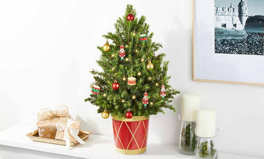 Image 3: Christmas Décor & Plant Gifts FTD.com Same-Day Delivery Up to 55% Off