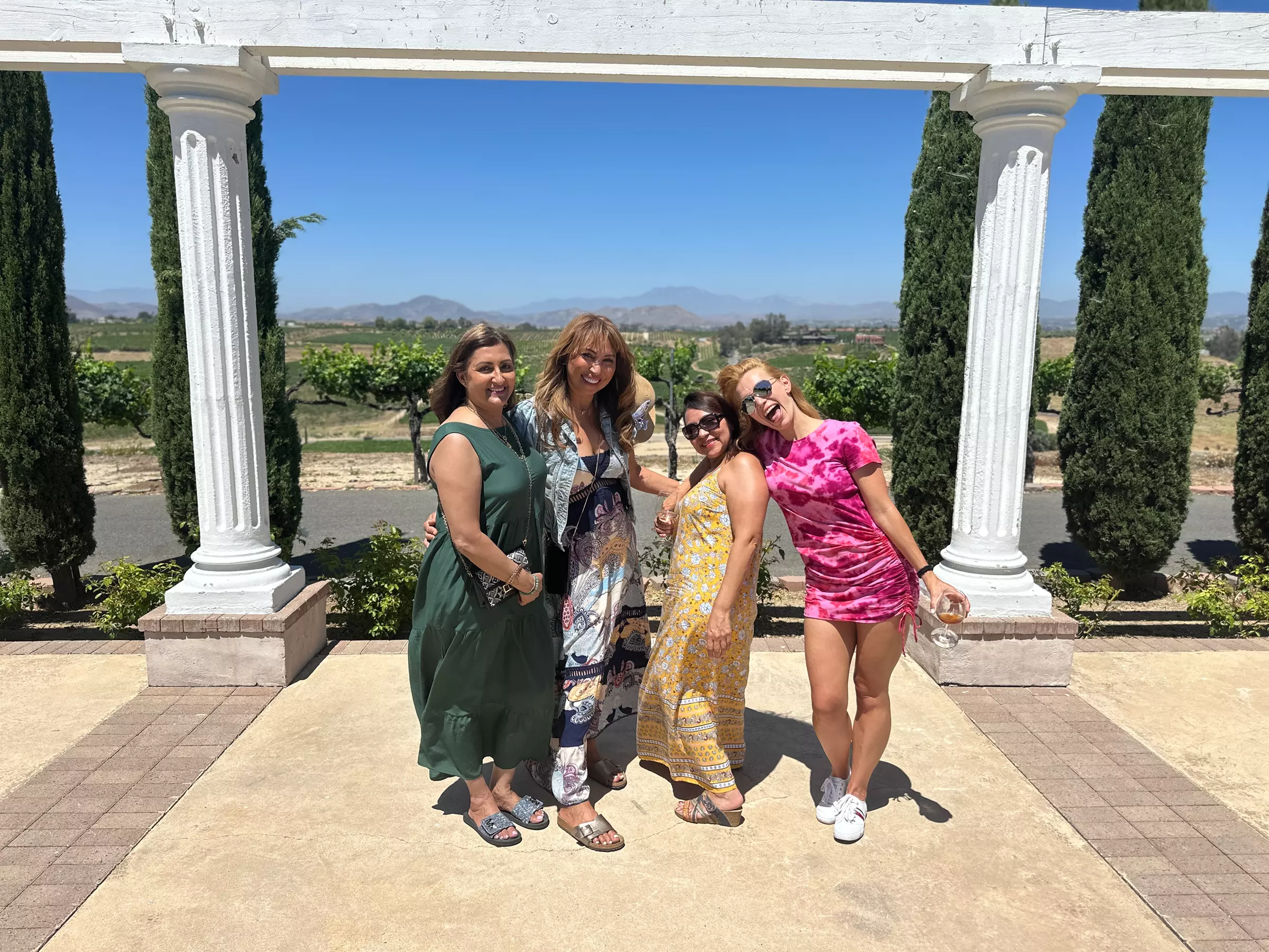Experience a Temecula Wine Tasting Tour w/ Optional Lunch for One