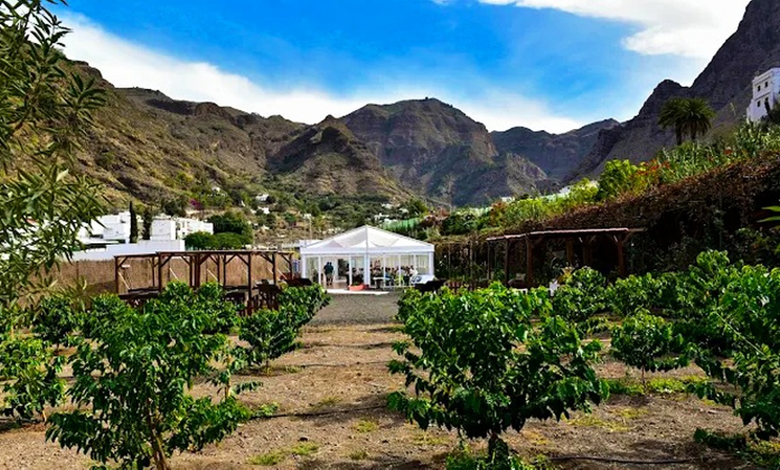 Image 8: Visita a la Finca Los Castaños con degustación de café para 1, 2 o 4
