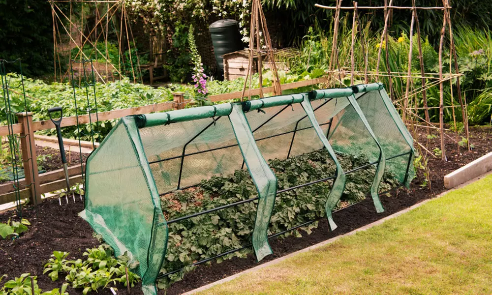 Garden Gear Plant Protection Cloches