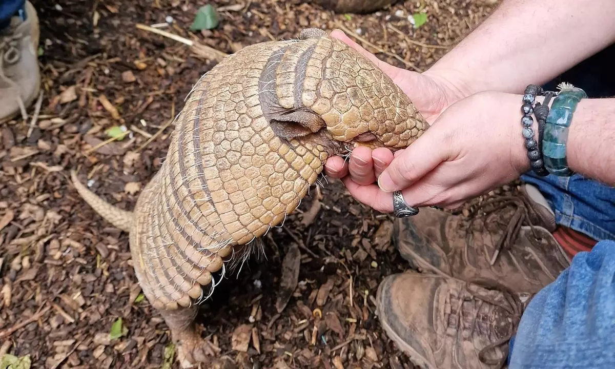 Embark on a Wild Adventure at Up to 58% Off at Exotic Zoo!