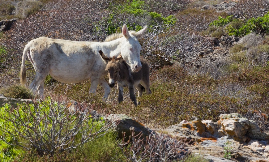 Image 12: ✈ 8-Days in Sardinia with Air, Car & Hotel from Worldee