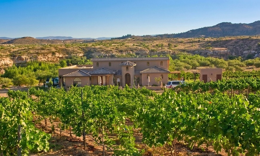 Image 4: Sip & Go in Verde Valley Wine Tasting