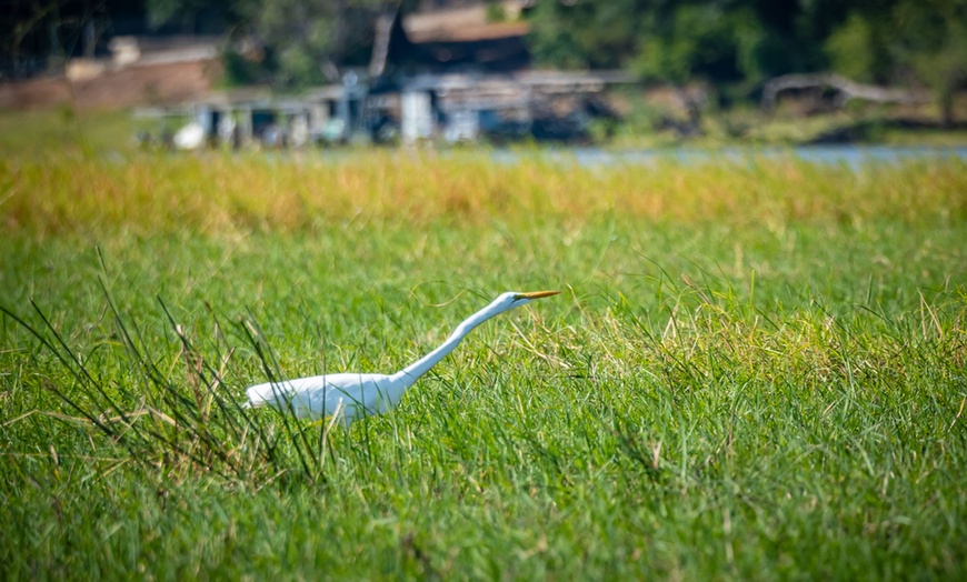 Image 35: 8-Day Yoga & Safari Retreat