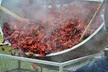 Get Single-Day General Admission Ticket to Crawfish Festival on May 17 or 18(Up to 47% Off)- Music, Food & More  - Second Medium