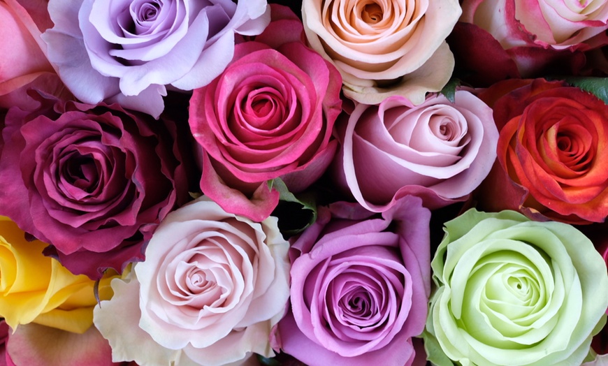 Image 2: Next Day Delivery 24 Farmers Choice Rose Bouquets - Rose Farmers (Up to 44% Off)