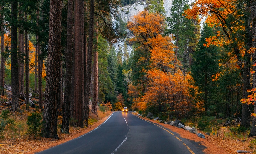 Image 11: Members Only: Yosemite Gateway Resort with Pools & Outdoor Adventures