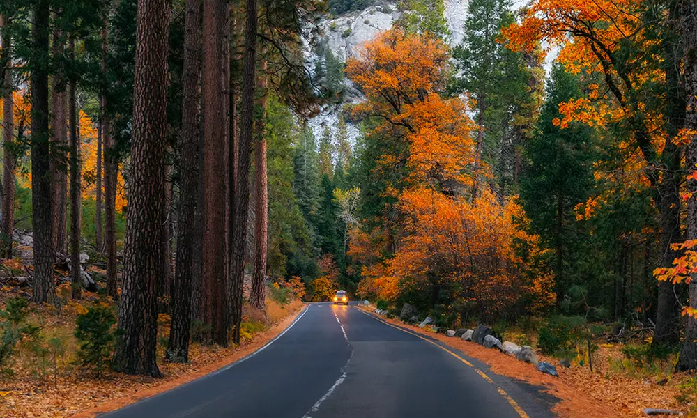 Members Only: Yosemite Gateway Resort with Pools & Outdoor Adventures