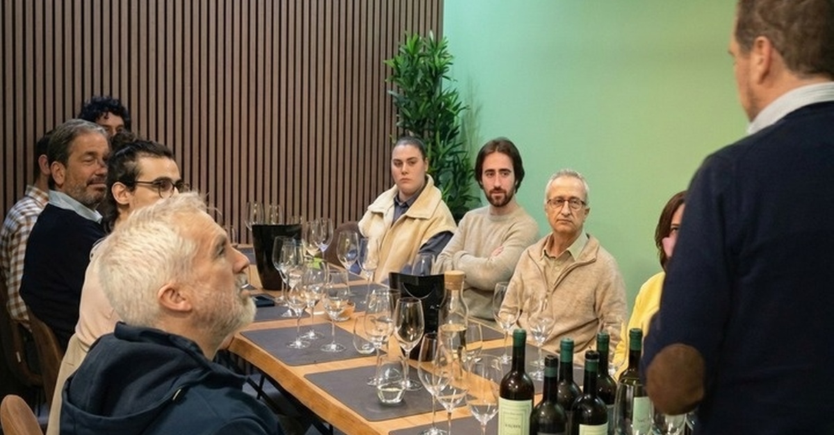 Cata de cinco vinos con tapas en Nervión, Sevilla