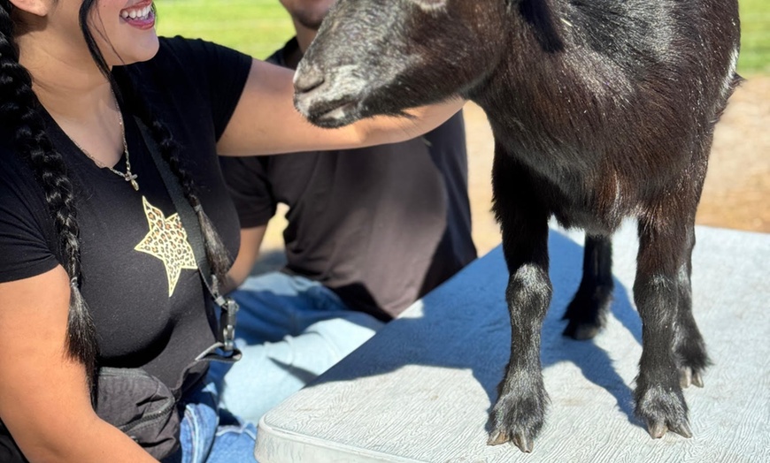 Image 5: Hands-On Animal Encounters Polk City