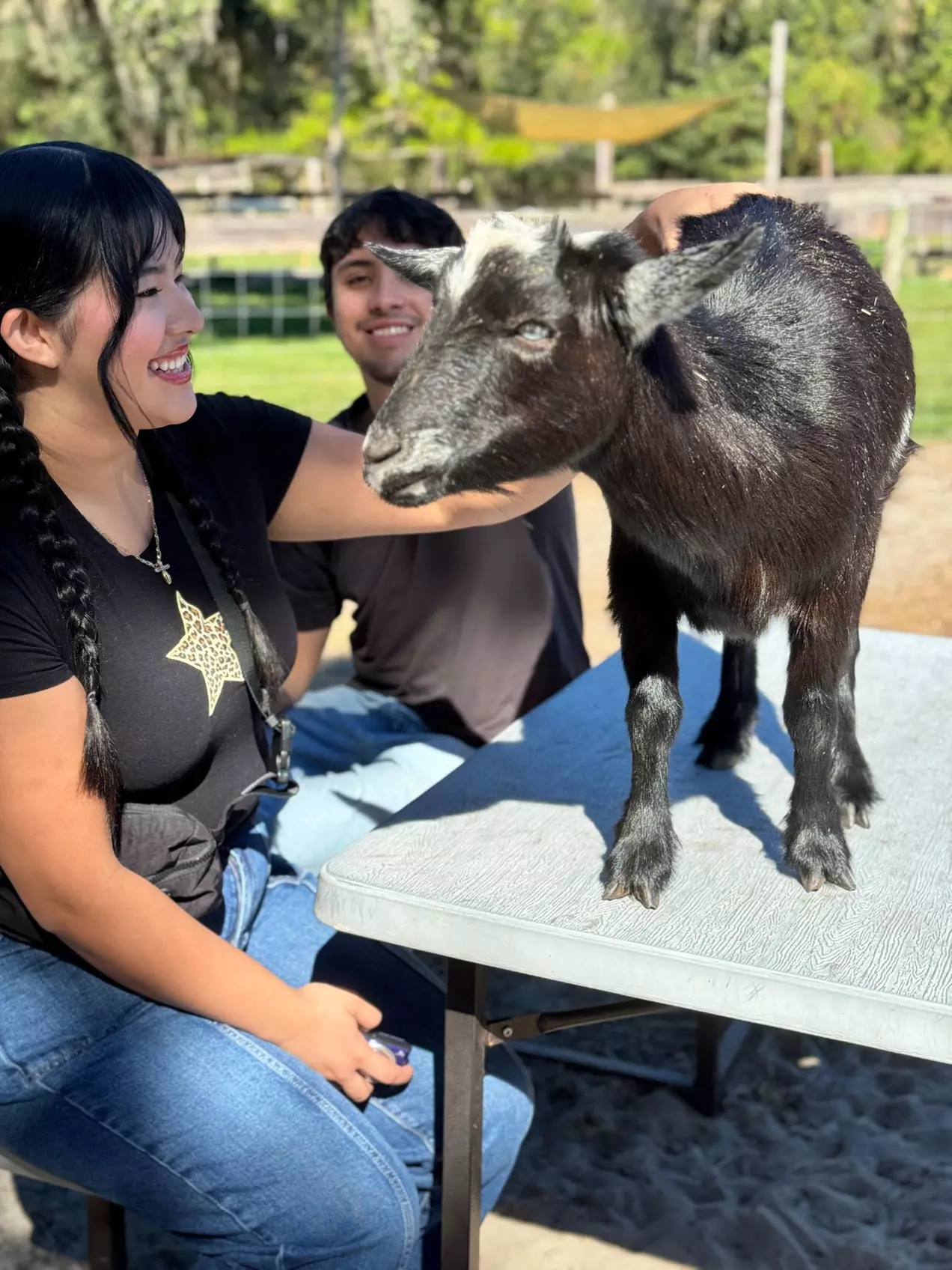 Hands-On Animal Encounters Polk City