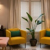 Image 2: Smooth Skin with Professional Brazilian Waxing Sessions